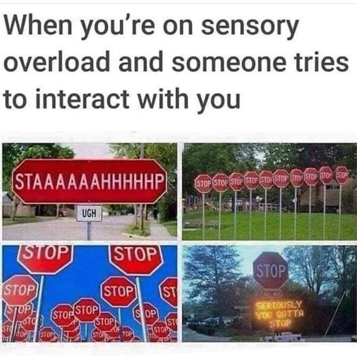 Mentally Not So Well Memes 68 63Da60Cf2B9B7 700