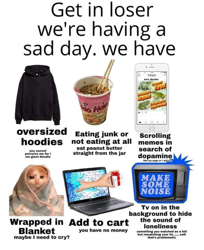 Mentally Not So Well Memes 87 63Da60Fdefeb0 700