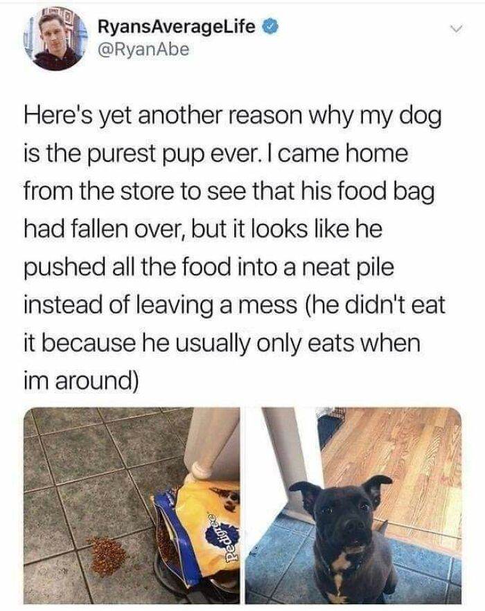 30 Random And Funny Pictures With No Context