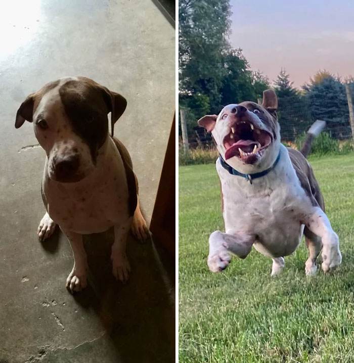 before after adoption 89 63fe144fa938b 700