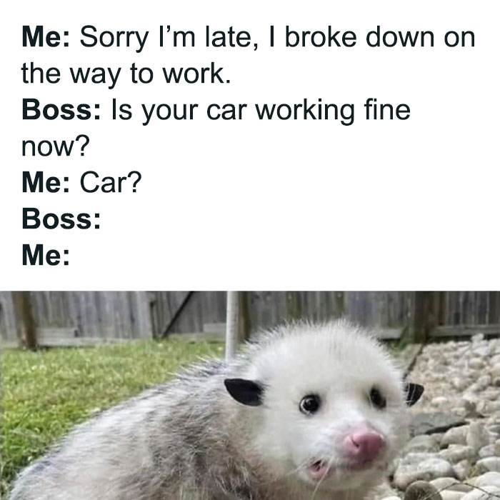 funny relatable work memes jokes 640051ad4f543 700 64007df87e31c 700