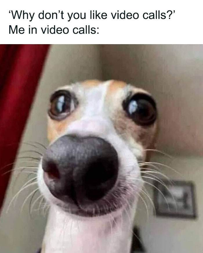 30 Hilarious Memes About Office Life To Share With Coworkers