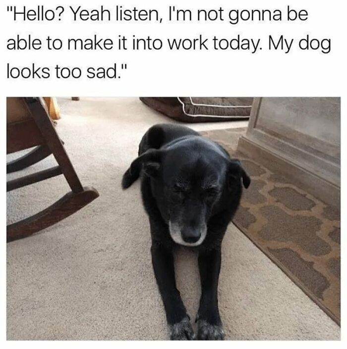 funny relatable work memes jokes 64006ab485d97 700