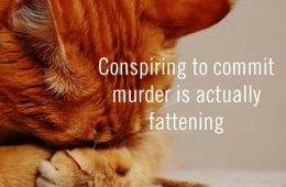 I Made 30 Funny Quotes Using A Quote Generator 63E59748954A7 700