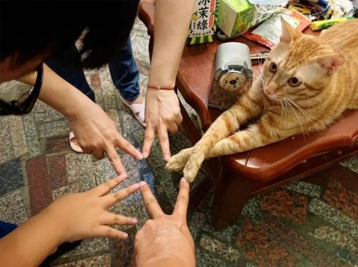 Funny Important Images 18 642D32B9F3020 700