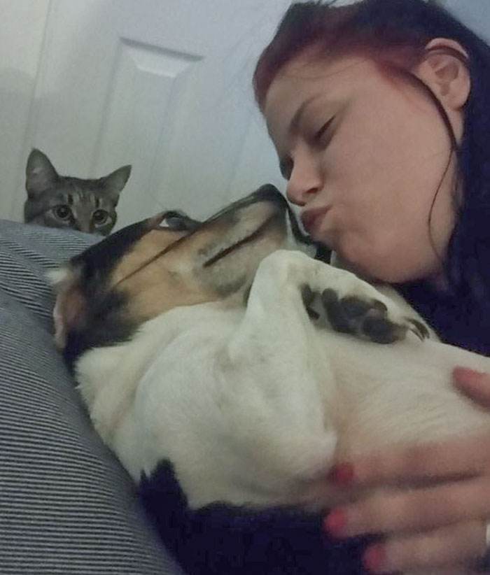 funny jealous pets 11 64242e9600b69 700