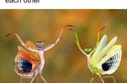 Introvert Memes By Allabintroverts 28 642Bc1862D940 700