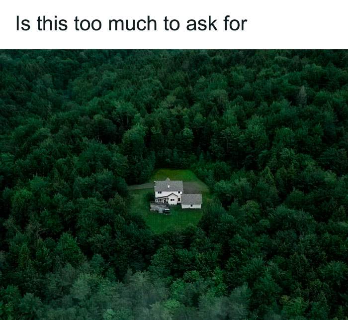 Introvert Memes By Allabintroverts 7 642Abb6Fa53A2 700