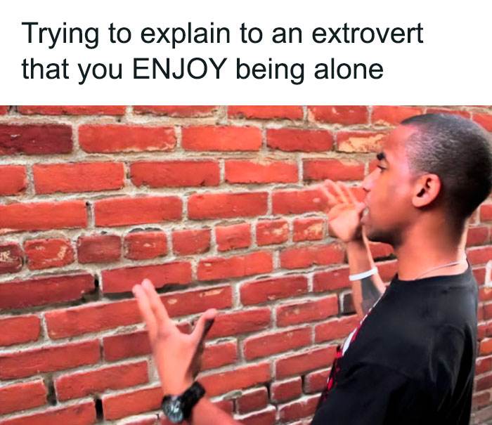 30 SpotOn And Funny Memes About Introverts