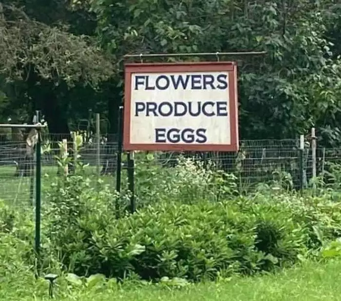  30 Unbelievably Insane English Mistakes That Will Make You Laugh