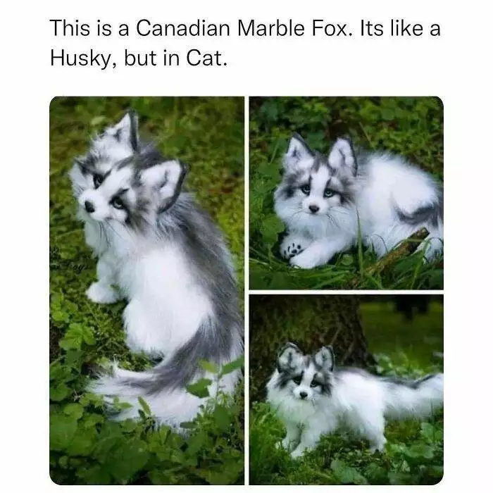 30 Adorable Wholesome Pics And Memes To Heal Your Soul 