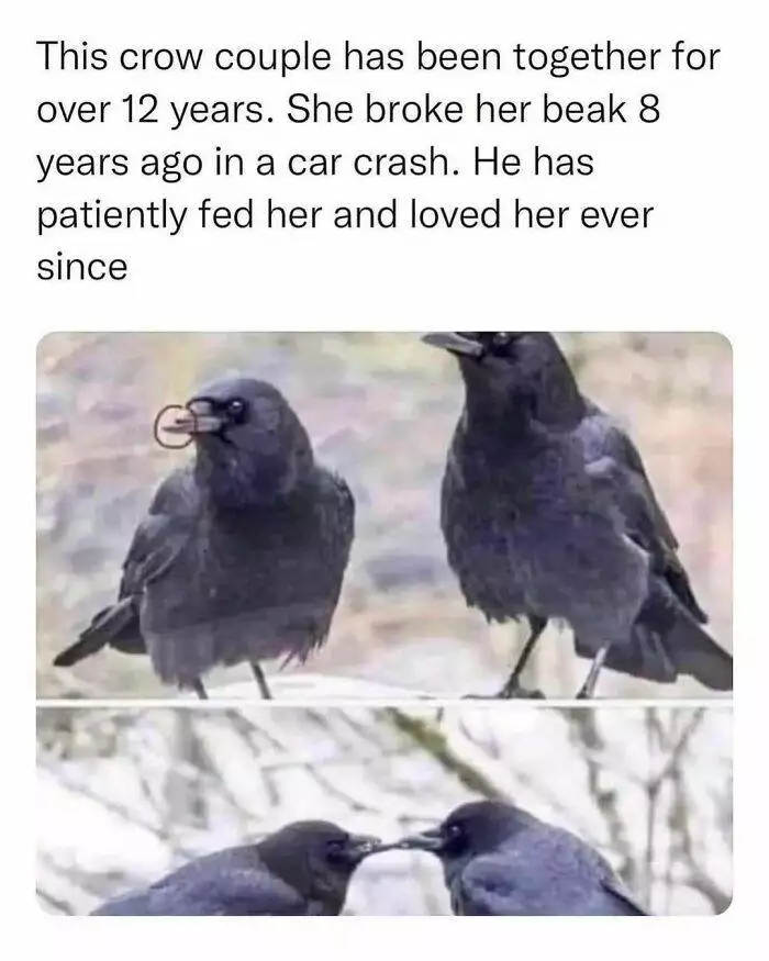 30 Wholesome Pics And Memes To Heal Your Soul