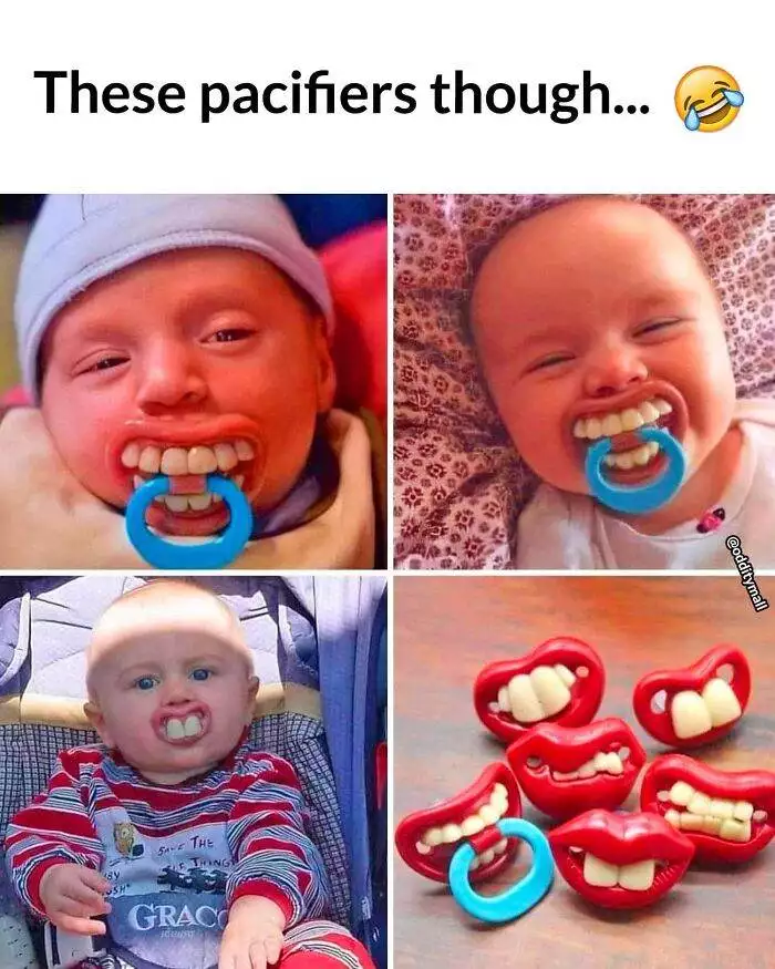 Hilarious Unusual Products Odditymall 6453B80C53500 700