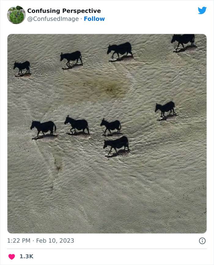 30 Seriously Confusing Pics That Will Leave You Scratching Your Head