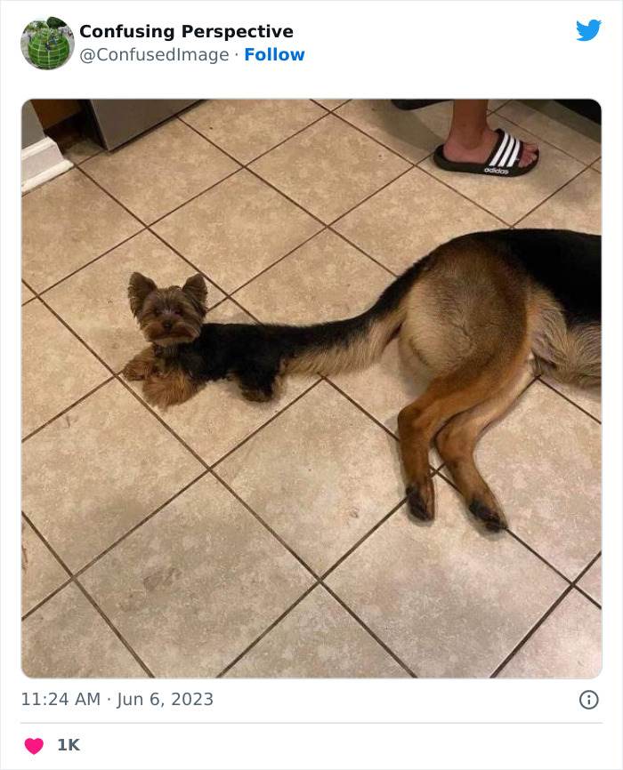 30 Seriously Confusing Pics That Will Leave You Scratching Your Head
