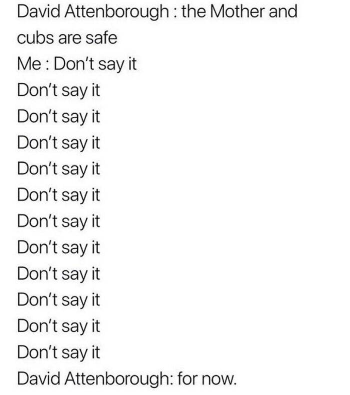 Cg 2Gubdzh5 Png 700
