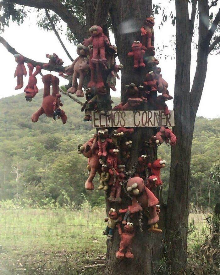 30 Cursed Images To Provide You Your Daily Dose Of Disturbing