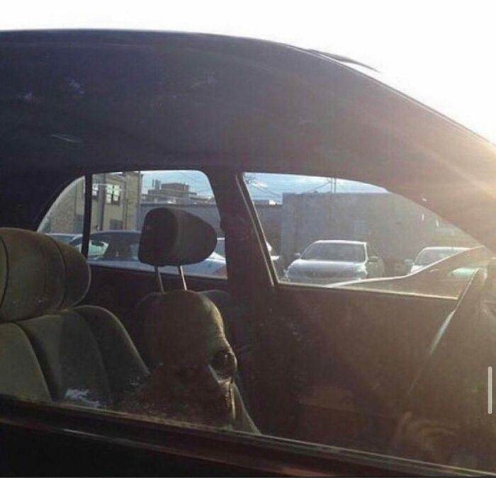 30 Cursed Images To Provide You Your Daily Dose Of Disturbing