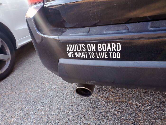 Funny Bumper Stickers 16 64774E7F84729 700