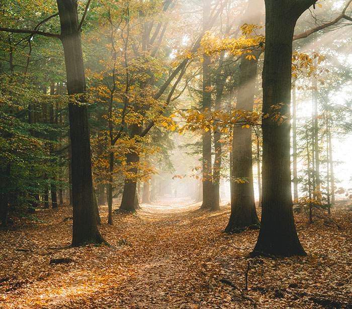 30 Amazing Travel Destinations For Your Next Vacation