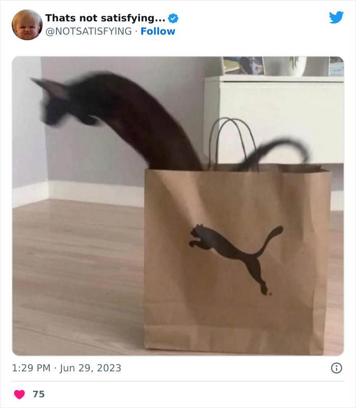 30 Of The Weirdest Tweets You'll Ever See