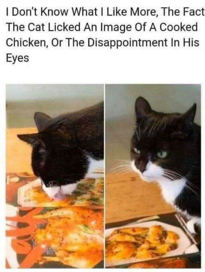64A26Ff05Eb3D Ae0Vwc27Vw8A1 700