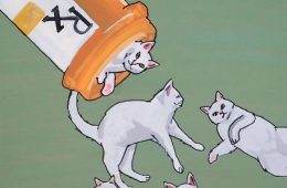 Funny Cute Cat Memes35 64A2Ab5D93826 700
