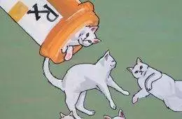 Funny Cute Cat Memes35 64A2Ab5D93826 700