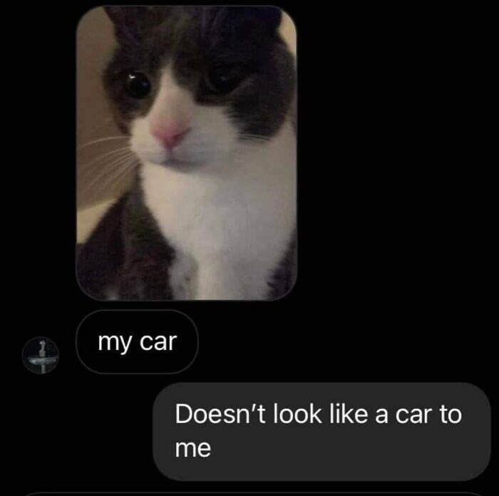 30 Iconic And Funny Messages To Ever Be Screenshotted