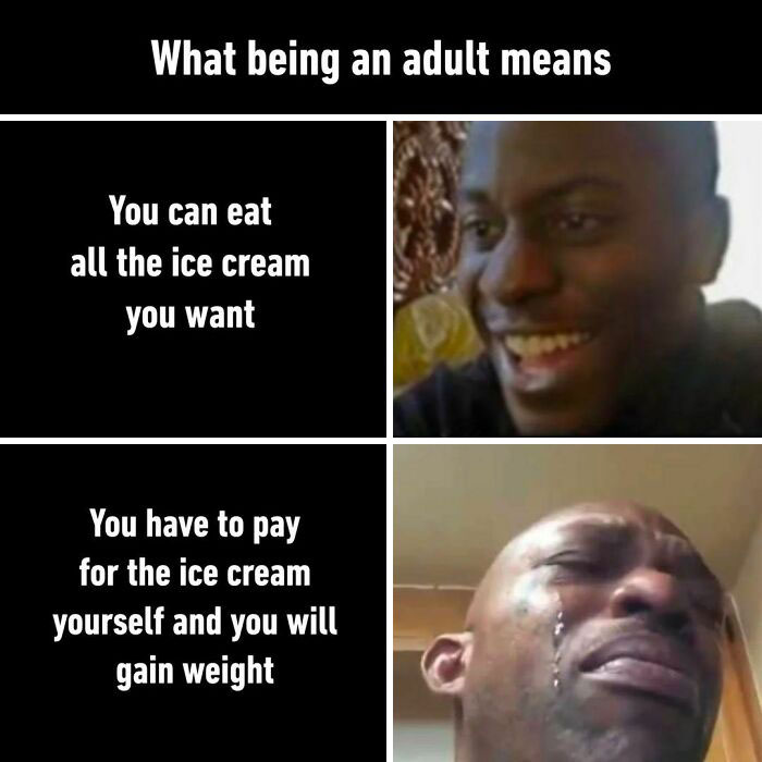 Ice Cream Memes 106 649D4B18A8A5E 700