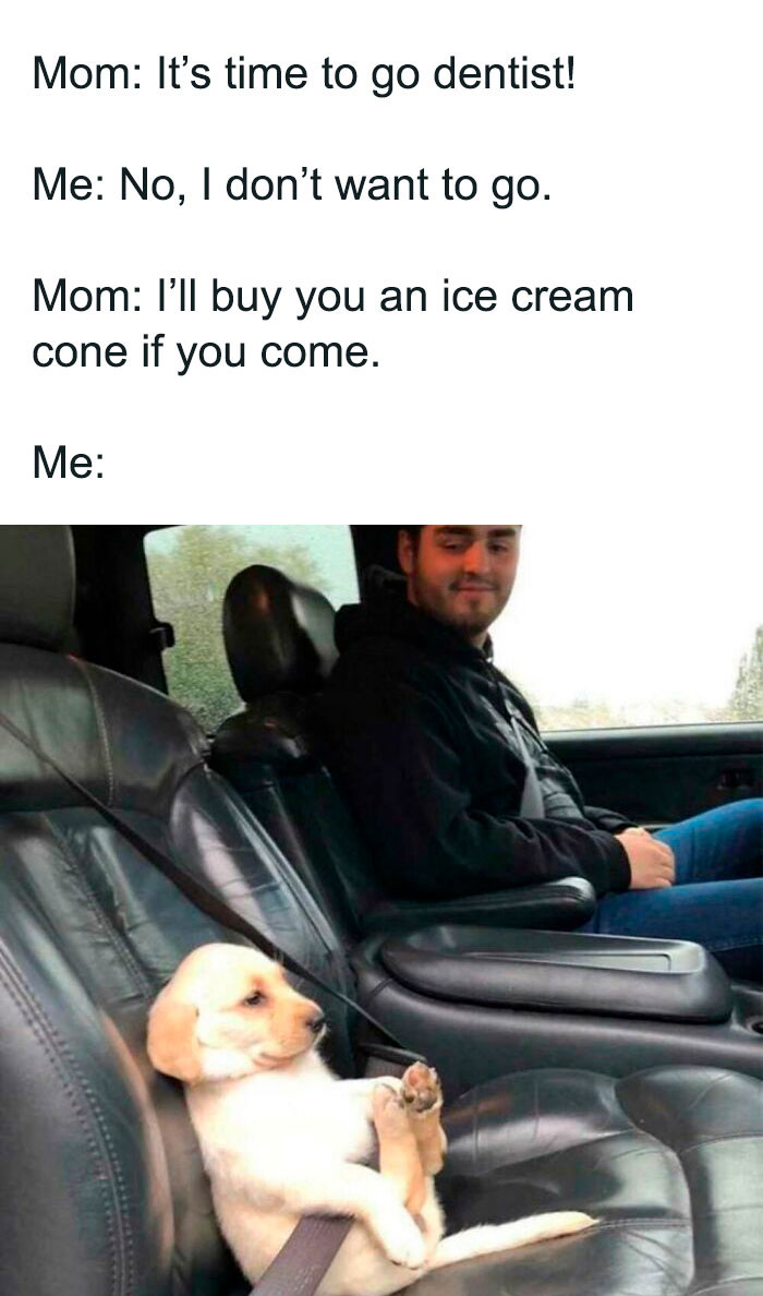 Ice Cream Memes 39 649C3Ddad3924 700