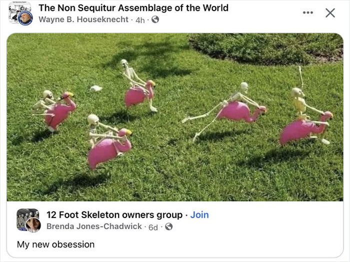 Ridiculous Weird Things 11 64Aeb4Dd98A36 700