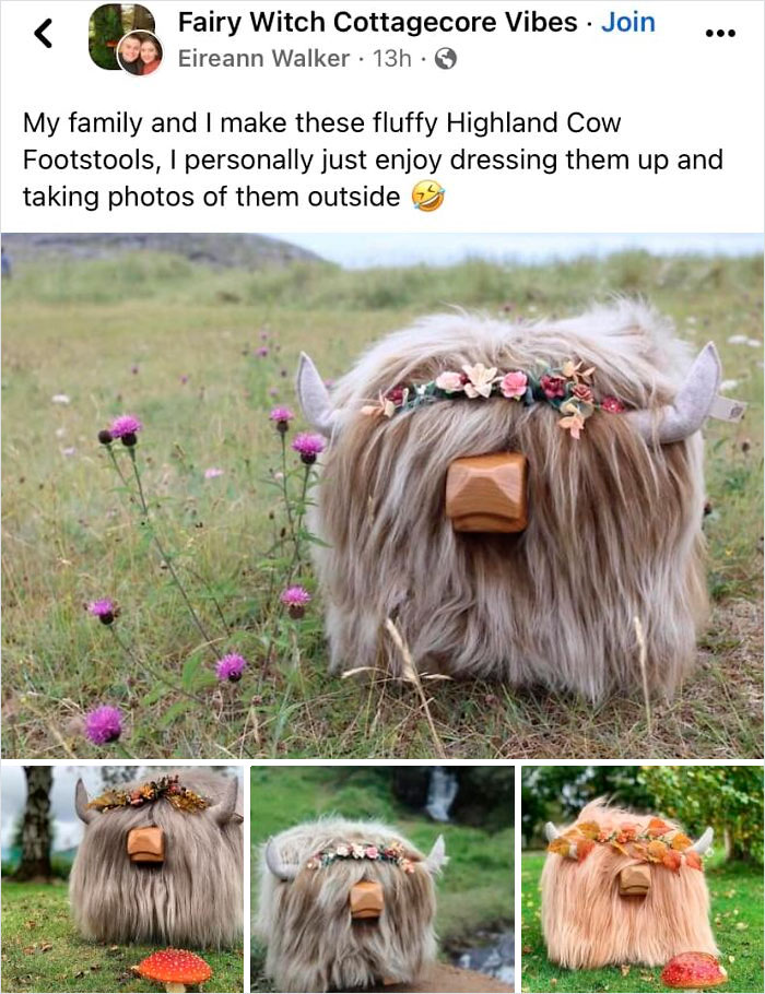 Ridiculous Weird Things 79 64Afedd968F81 700