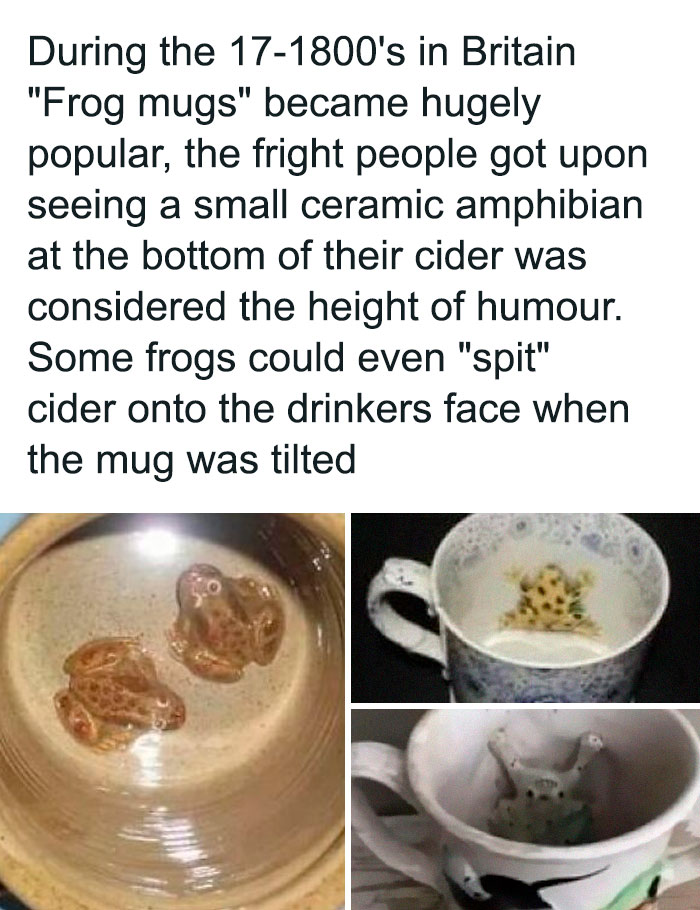 Ridiculous Weird Things 80 64Afee6Ccf12B 700