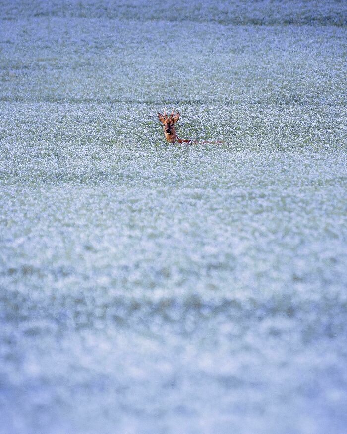 30 Incredible Moments Captured In Stunning Photos