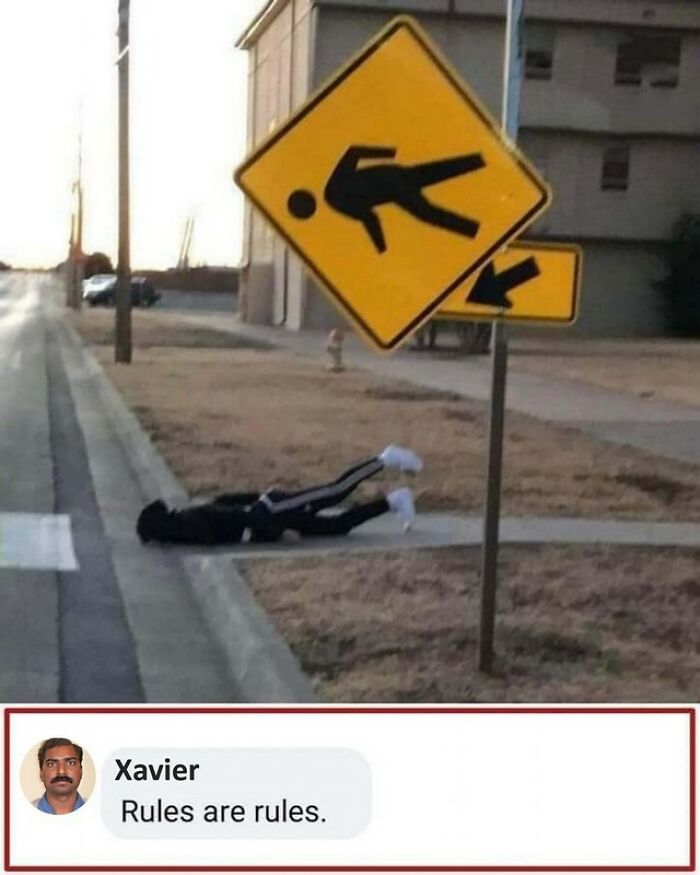 Funny Memes Idealist Xavier 64A6657D26038 700