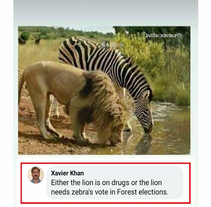 Funny Memes Idealist Xavier 64A6751Fe8411 700