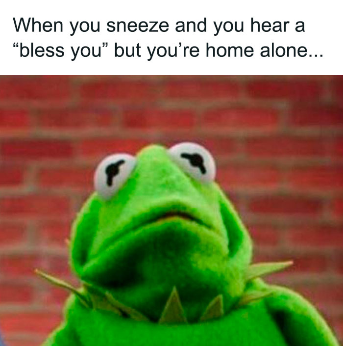 Kermit The Frog Memes 1 649Bf20Fc31D4 700