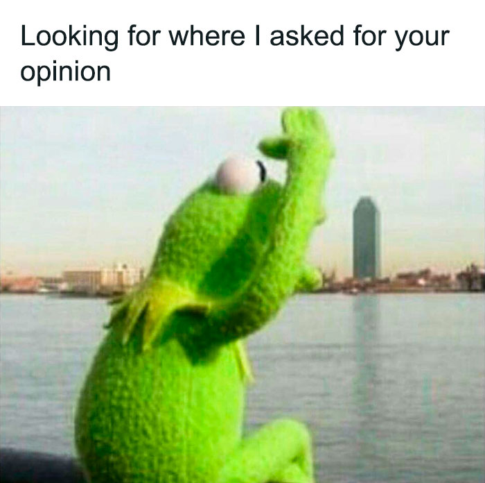 Kermit The Frog Memes 10 649C040Bcec2E 700