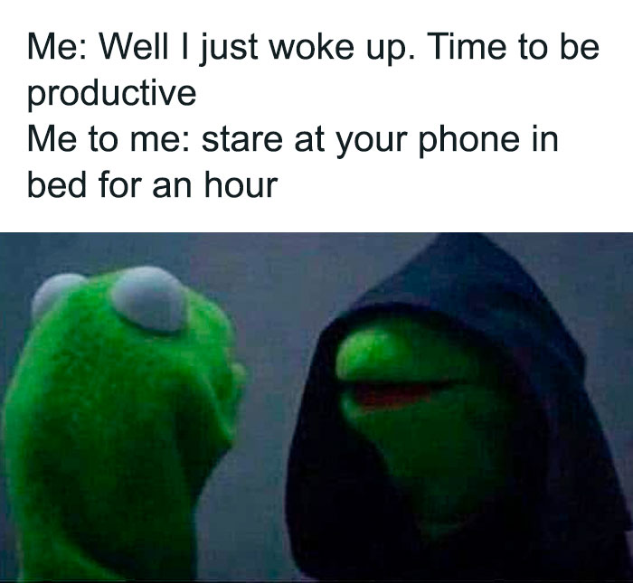 Kermit The Frog Memes 13 649C19D9C0Dfa 700