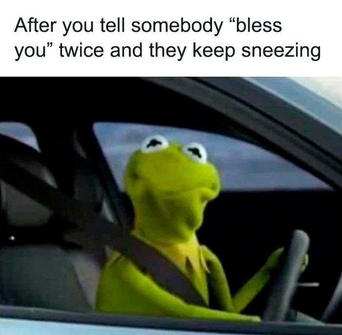 Kermit The Frog Memes 15 649C257Dbe63B 700