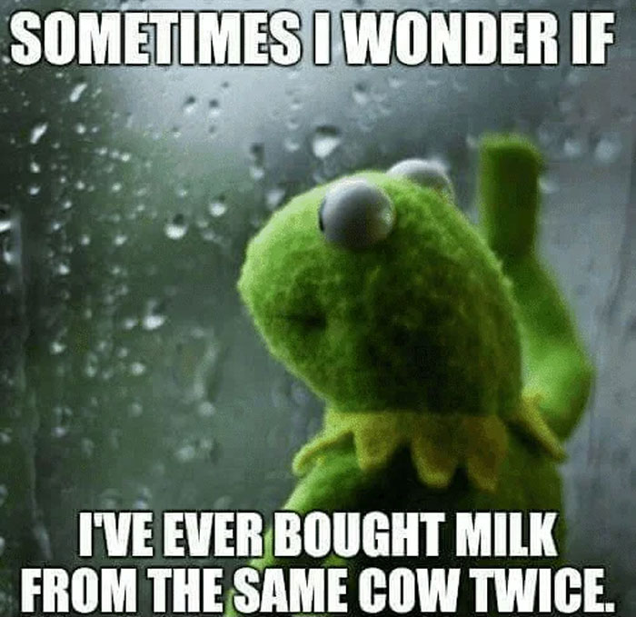 Kermit The Frog Memes 18 649C203Ee1Af6 700