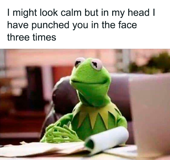 30 Kermit The Frog Memes That Might Make Your Day
