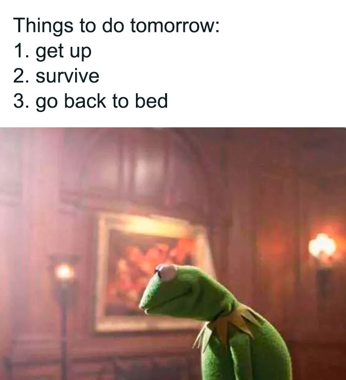 Kermit The Frog Memes 27 649C2Feae5Dc6 700