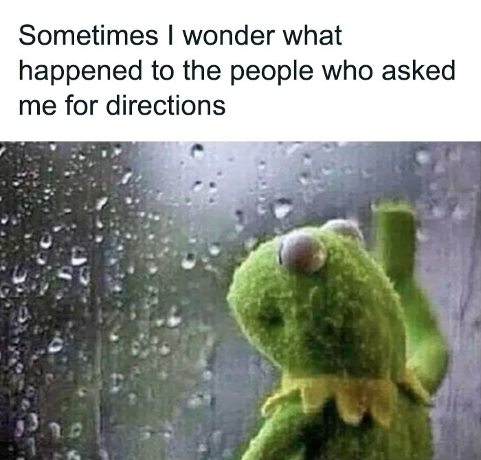 Kermit The Frog Memes 28 649C3081Ecc71 700