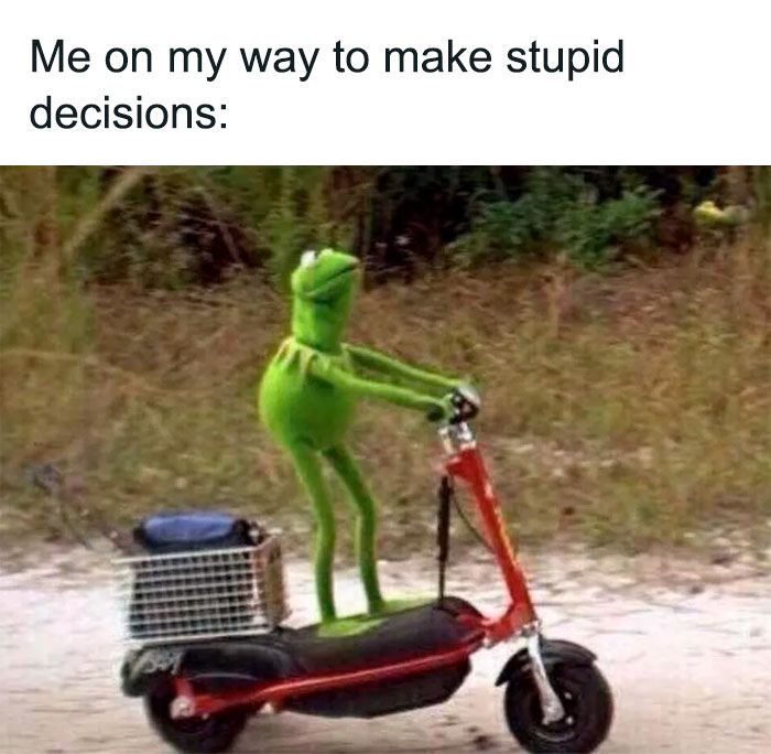Kermit The Frog Memes 29 649C30Edf3664 700