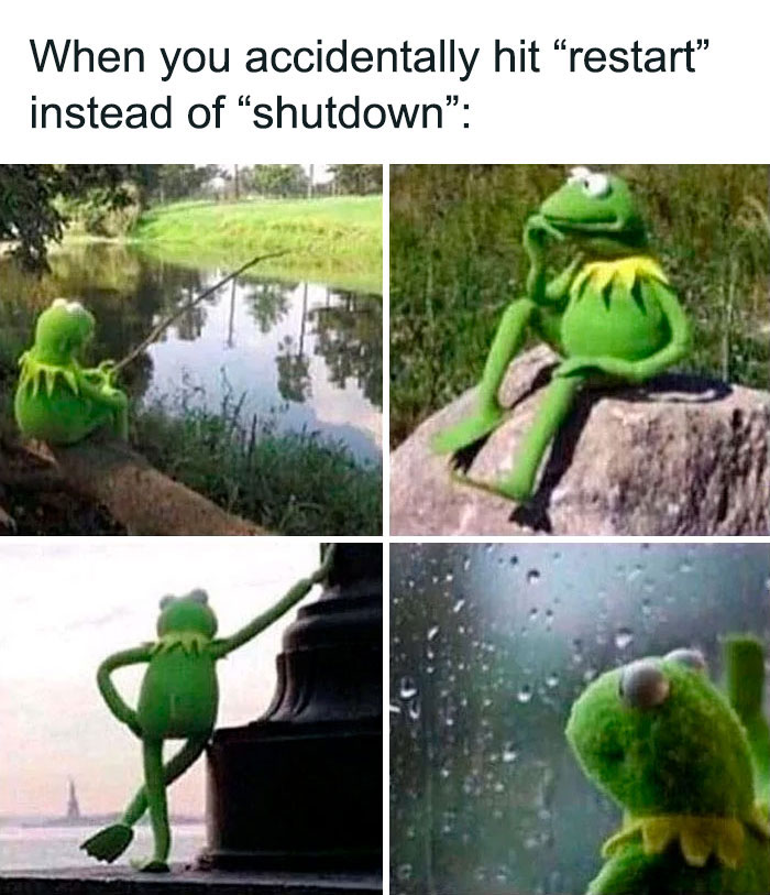 Kermit The Frog Memes 30 64A5213C16B53 700