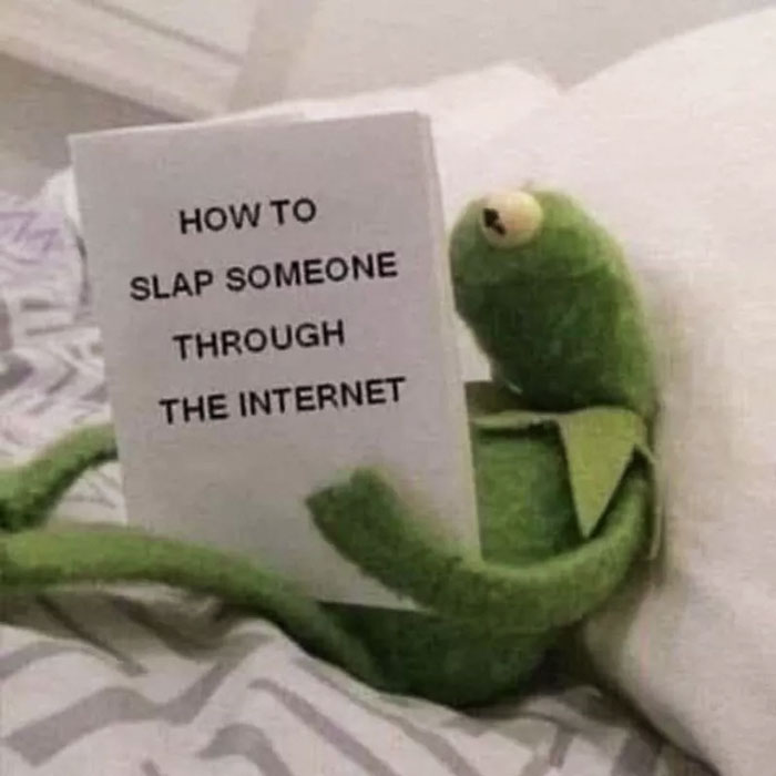 Kermit The Frog Memes 31 649C327453111 700