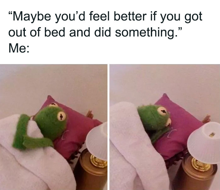 30 Kermit The Frog Memes That Might Make Your Day