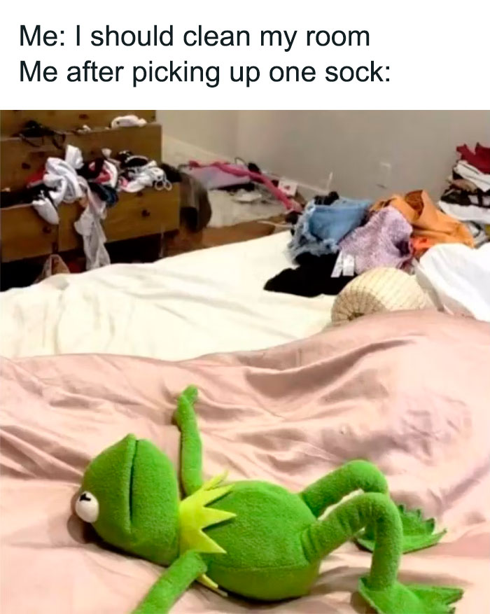 30 Kermit The Frog Memes That Might Make Your Day